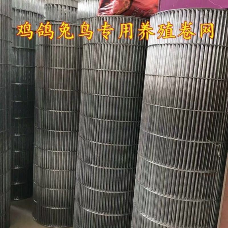 养殖网粗丝镀锌电焊网兔笼鸽笼鸟笼宠物笼圈玉米专用网