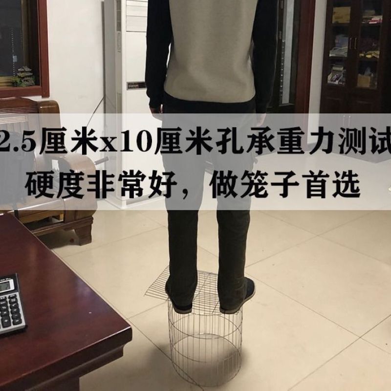 养殖网粗丝镀锌电焊网兔笼鸽笼鸟笼宠物笼圈玉米专用网