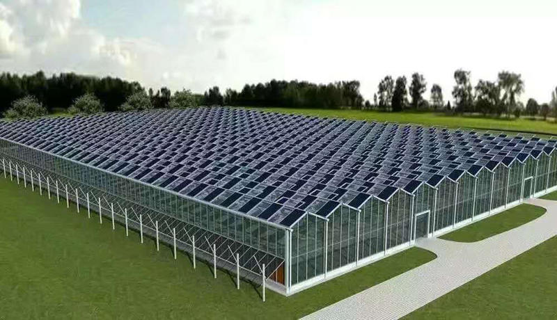玻璃温室连栋大棚温室大棚薄膜连栋日光棚