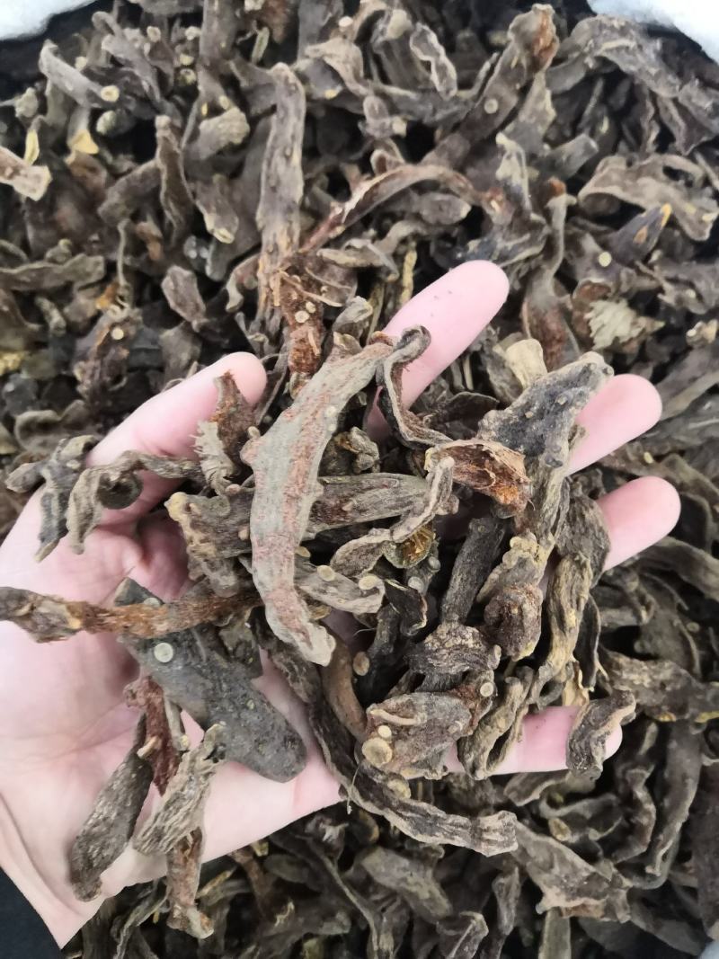 无硫骨碎补冷背药材批发各种中药材各种规格