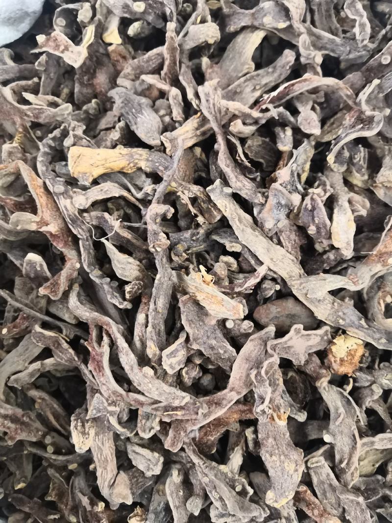 无硫骨碎补冷背药材批发各种中药材各种规格