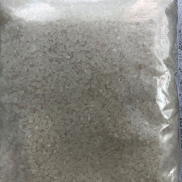 大米出售东北吉林大米，欢迎采购