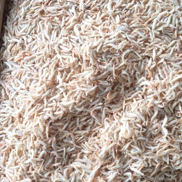 淡干麦秆虾，干度好鲜度高