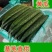 山东黄瓜，颜色黑，短把，密刺一手货源，优选黄瓜电商专供