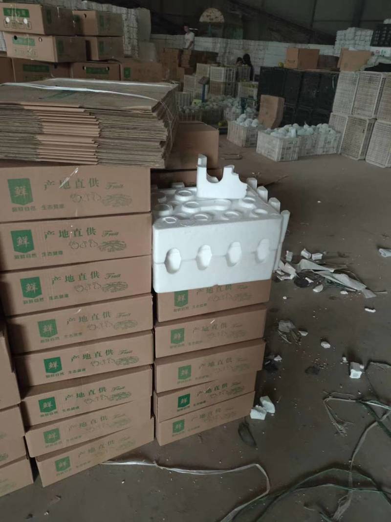 魏县鸭梨，一件代发纸箱加托快递包邮，日供应一万件能开发票