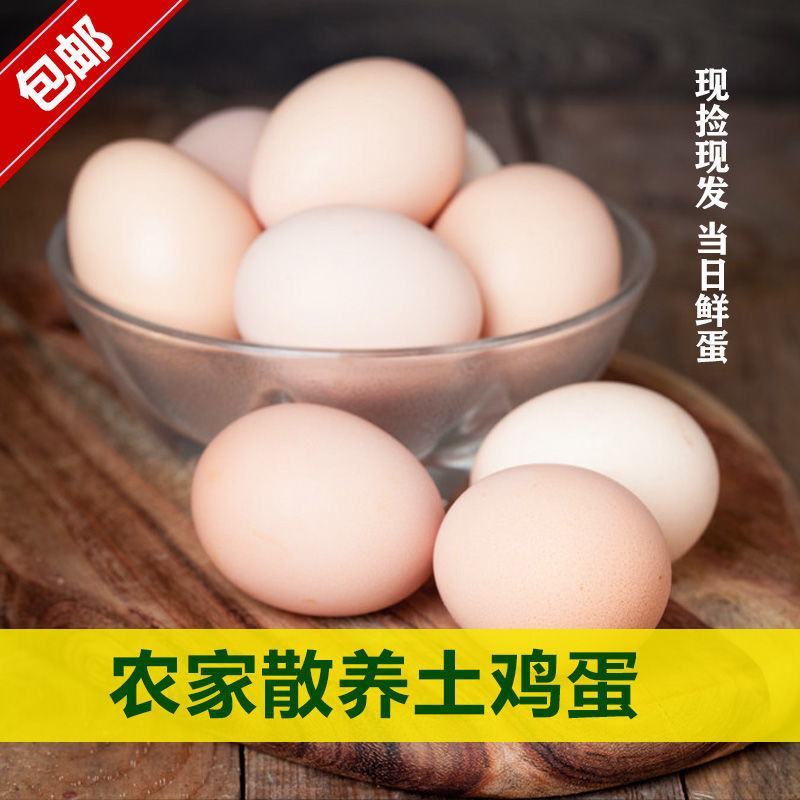 新鲜土鸡蛋，质量可靠！现捡现发！包邮到家！