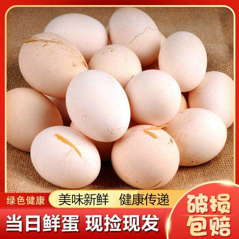 新鲜土鸡蛋，质量可靠！现捡现发！包邮到家！