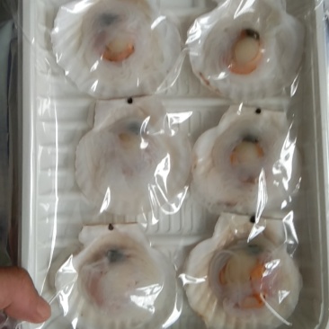 王老大海鲜销售批发零售
