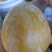麻阳高山黄金奈李(奈李金奈李)