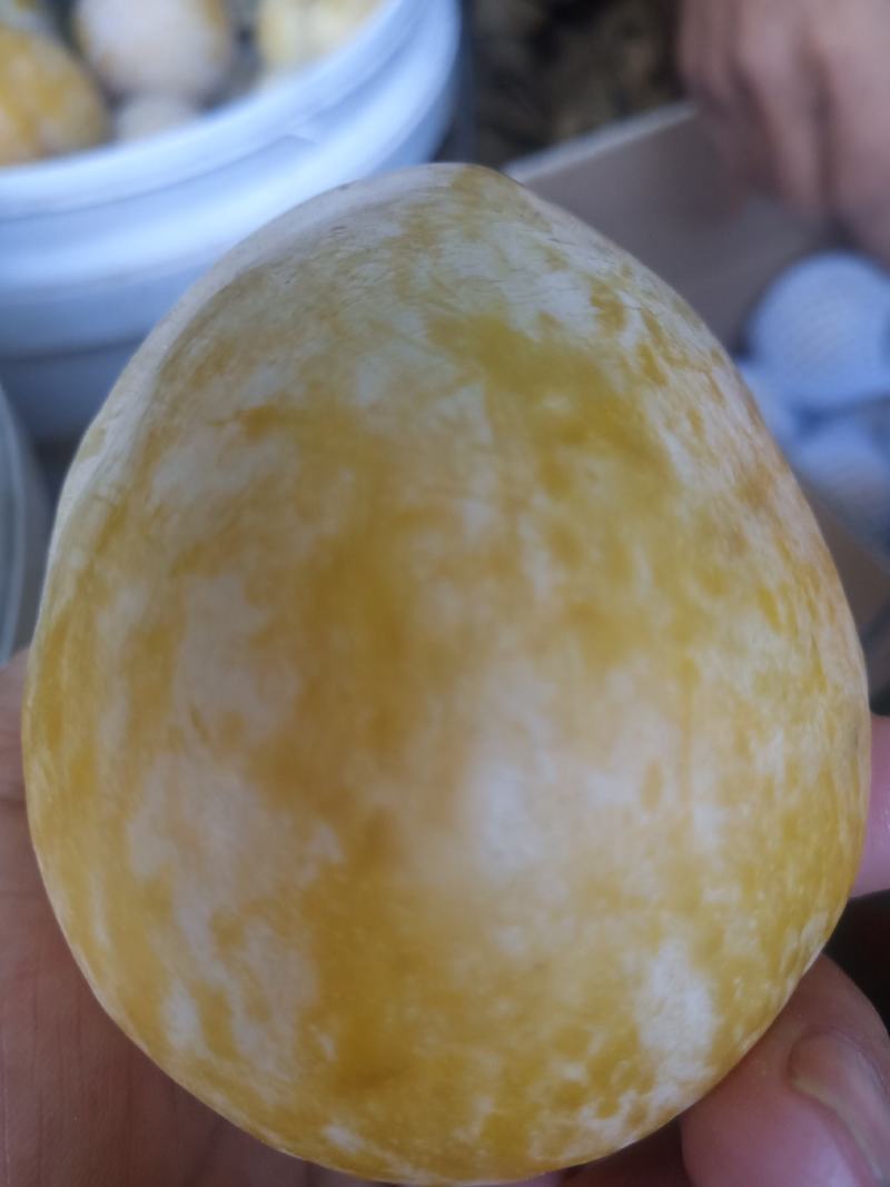 麻阳高山黄金奈李(奈李金奈李)