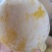 麻阳高山黄金奈李(奈李金奈李)