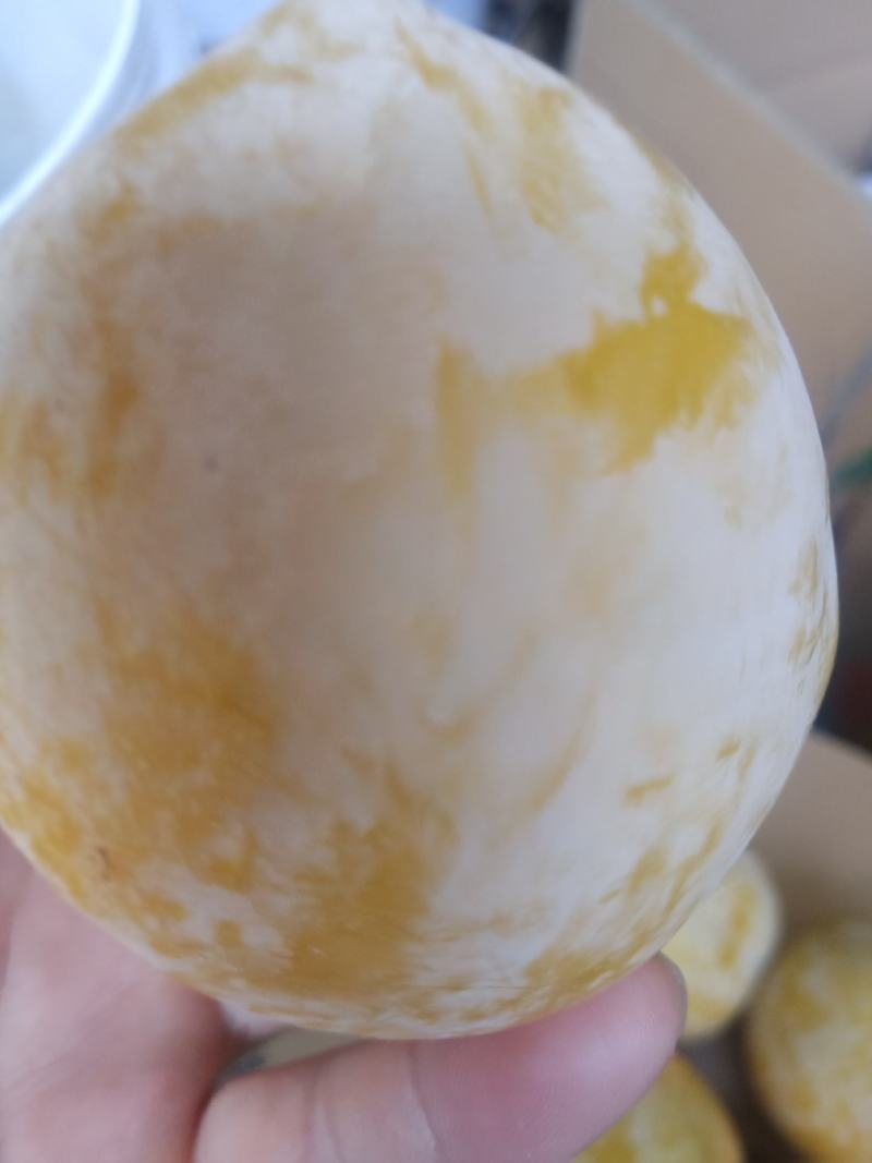 麻阳高山黄金奈李(奈李金奈李)