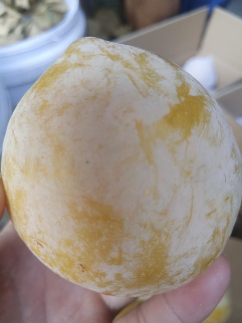 麻阳高山黄金奈李(奈李金奈李)