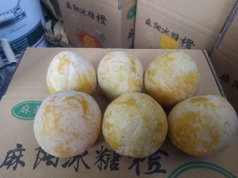 麻阳高山黄金奈李(奈李金奈李)