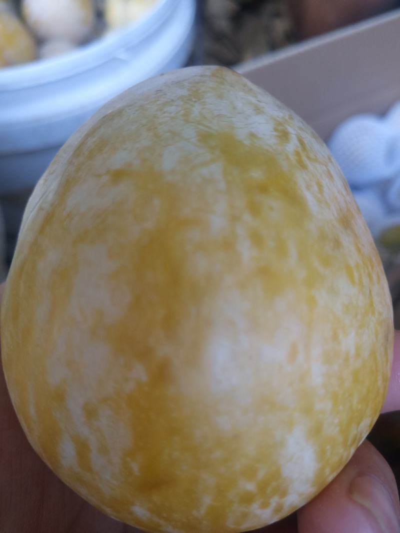 麻阳高山黄金奈李(奈李金奈李)