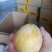 麻阳高山黄金奈李(奈李金奈李)