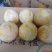 麻阳高山黄金奈李(奈李金奈李)