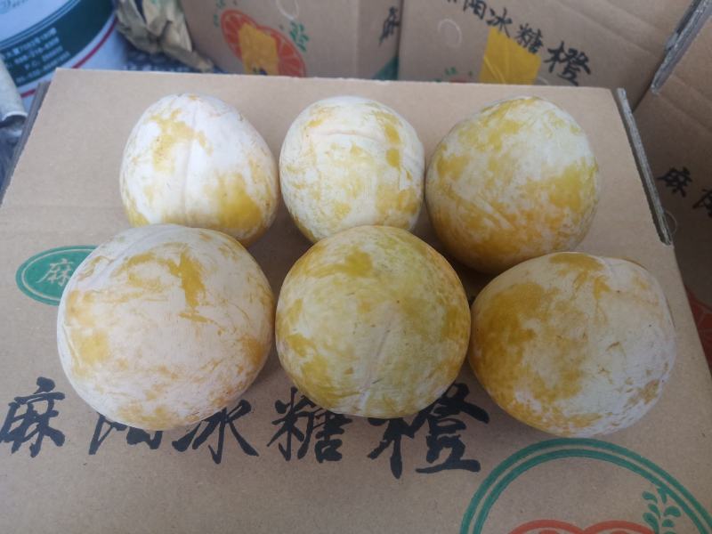 麻阳高山黄金奈李(奈李金奈李)