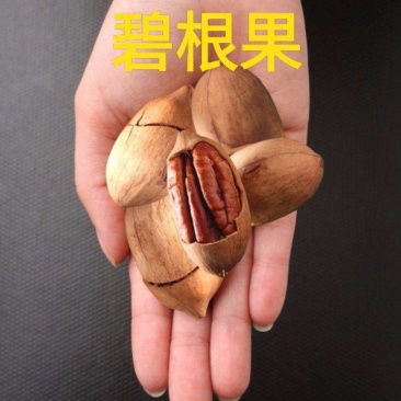 碧根果炒货过年休闲零食碧根果食用坚果包邮
