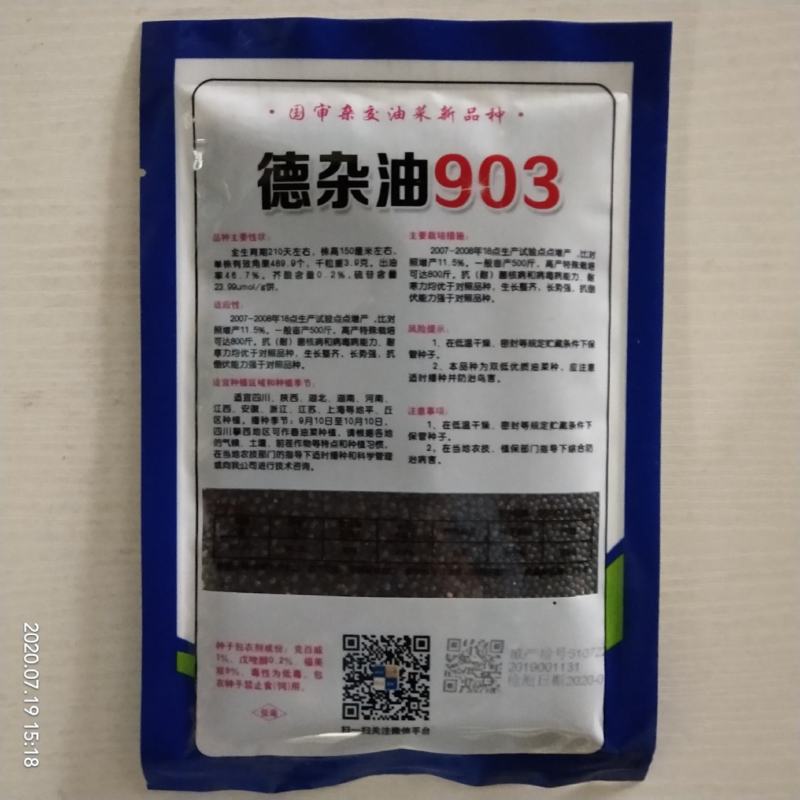 油菜籽种子矮杆抗倒伏春秋直播移栽品种子种子