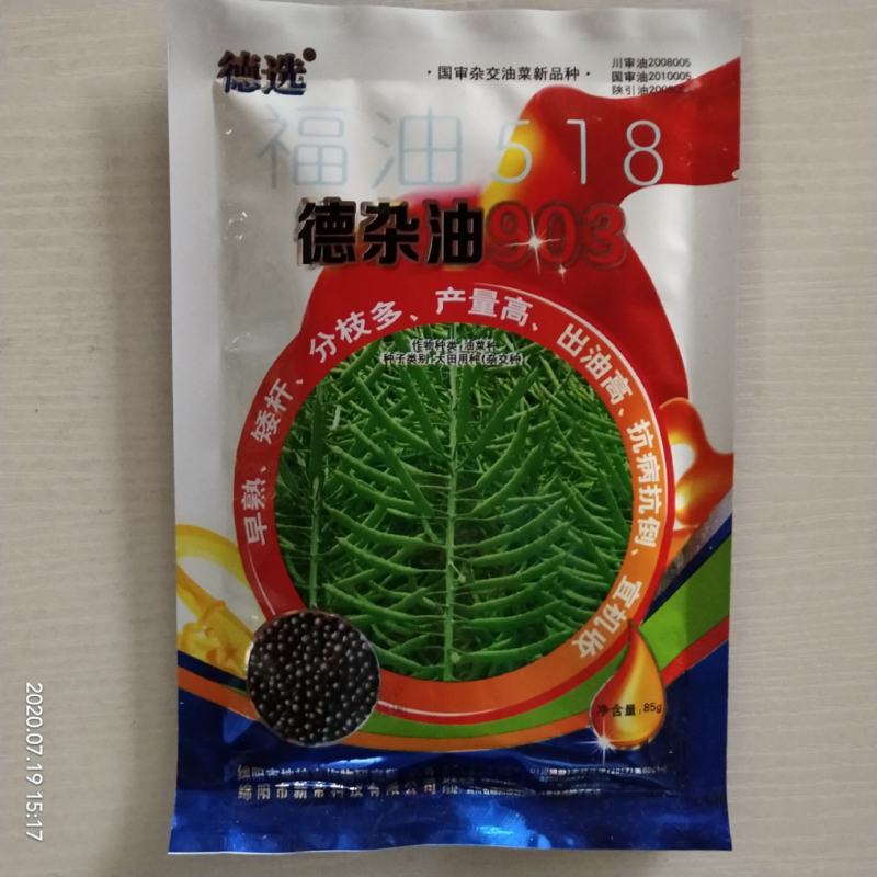 油菜籽种子矮杆抗倒伏春秋直播移栽品种子种子