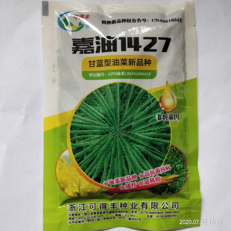 油菜籽种子矮杆抗倒伏春秋直播移栽品种子种子