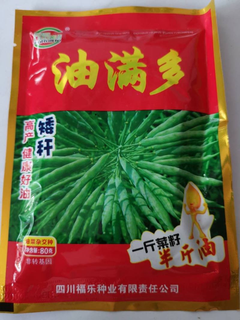 油菜籽种子矮杆抗倒伏春秋直播移栽品种子种子