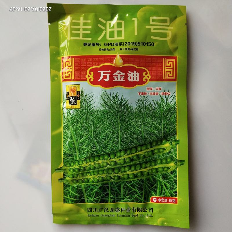 油菜籽种子矮杆抗倒伏春秋直播移栽品种子种子