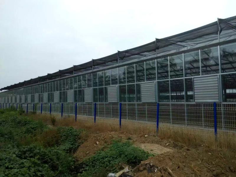 日光温室，温室大棚，大棚建设，大棚厂家，大棚，温室建设