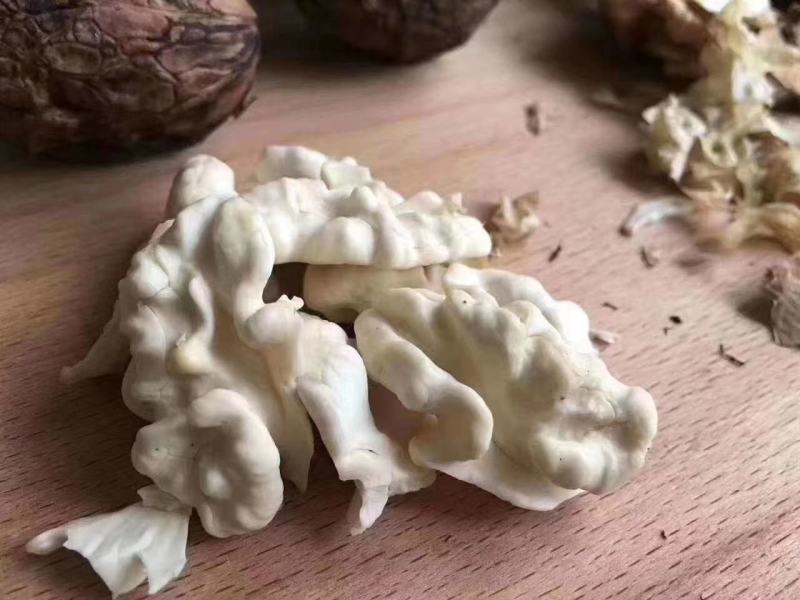 青皮核桃大优青皮核桃