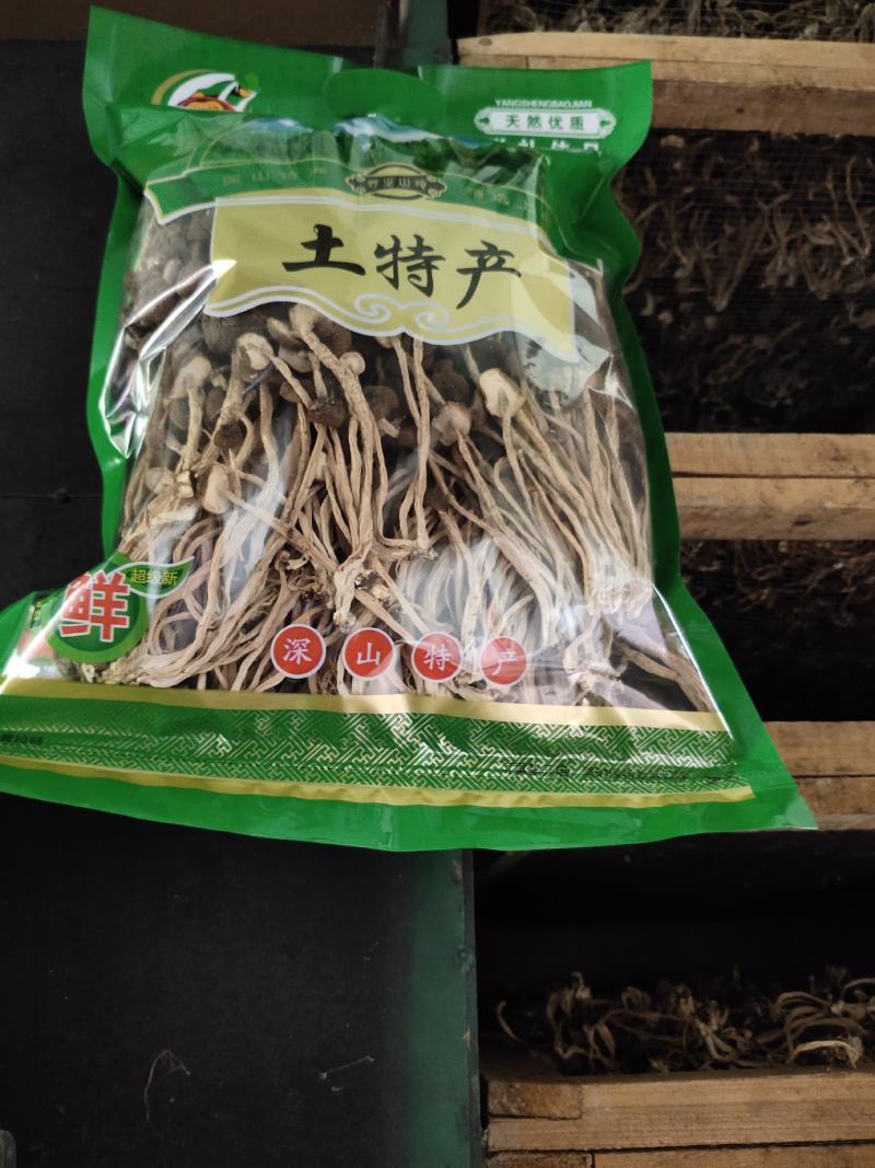 江西不开伞茶树菇批发24年新5号菇，精装礼品盒装