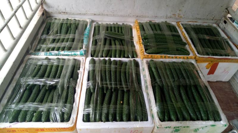 精品青黄瓜