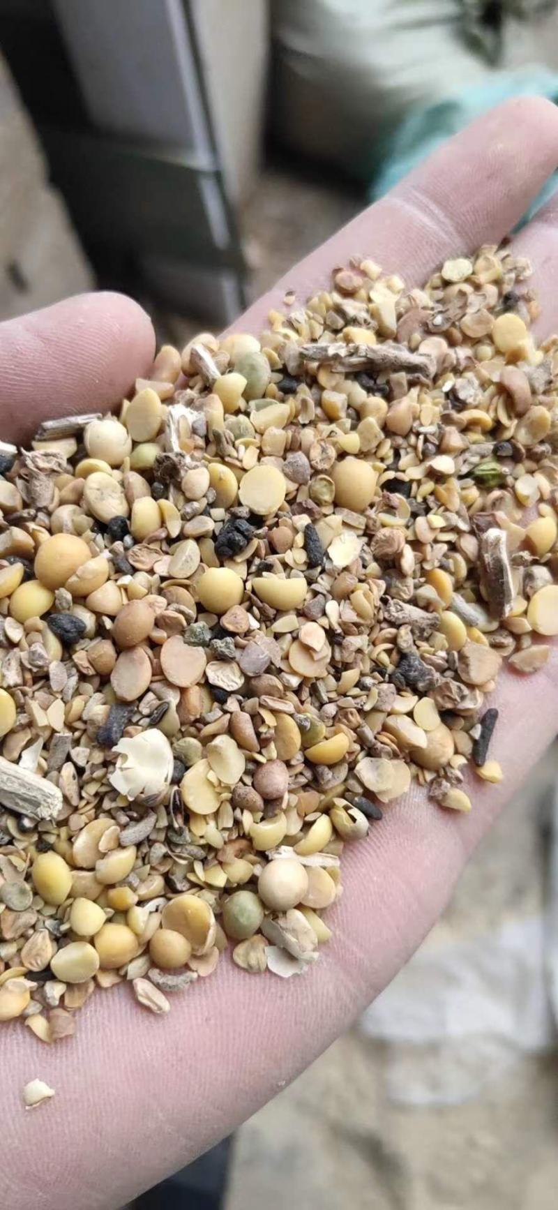 【优质好货】碎黄豆，猪牛羊蛋白补充，量大优惠，品质可靠！