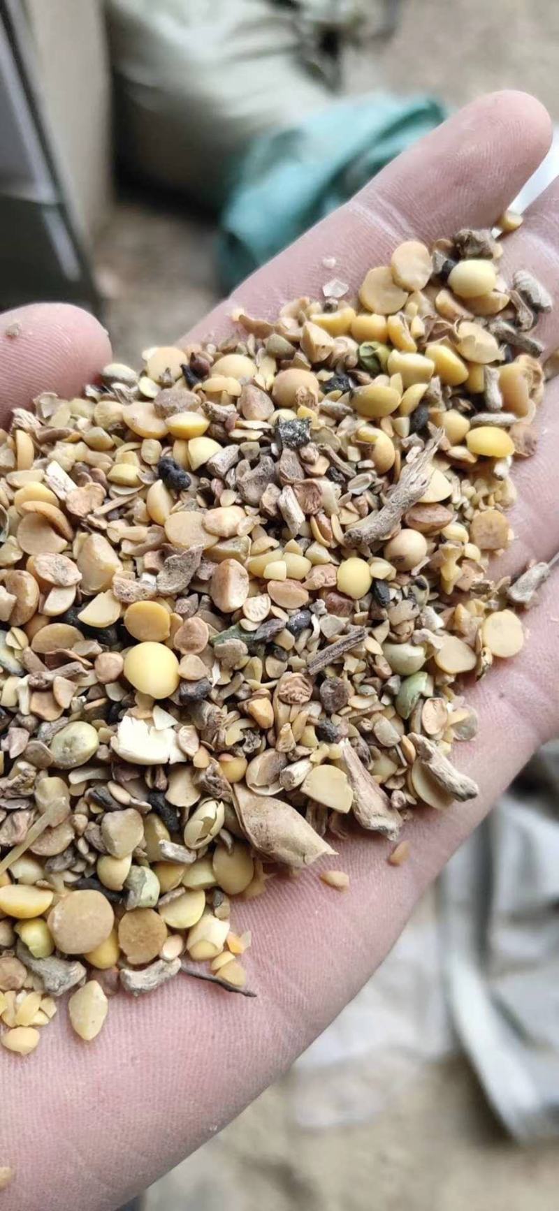 【优质好货】碎黄豆，猪牛羊蛋白补充，量大优惠，品质可靠！