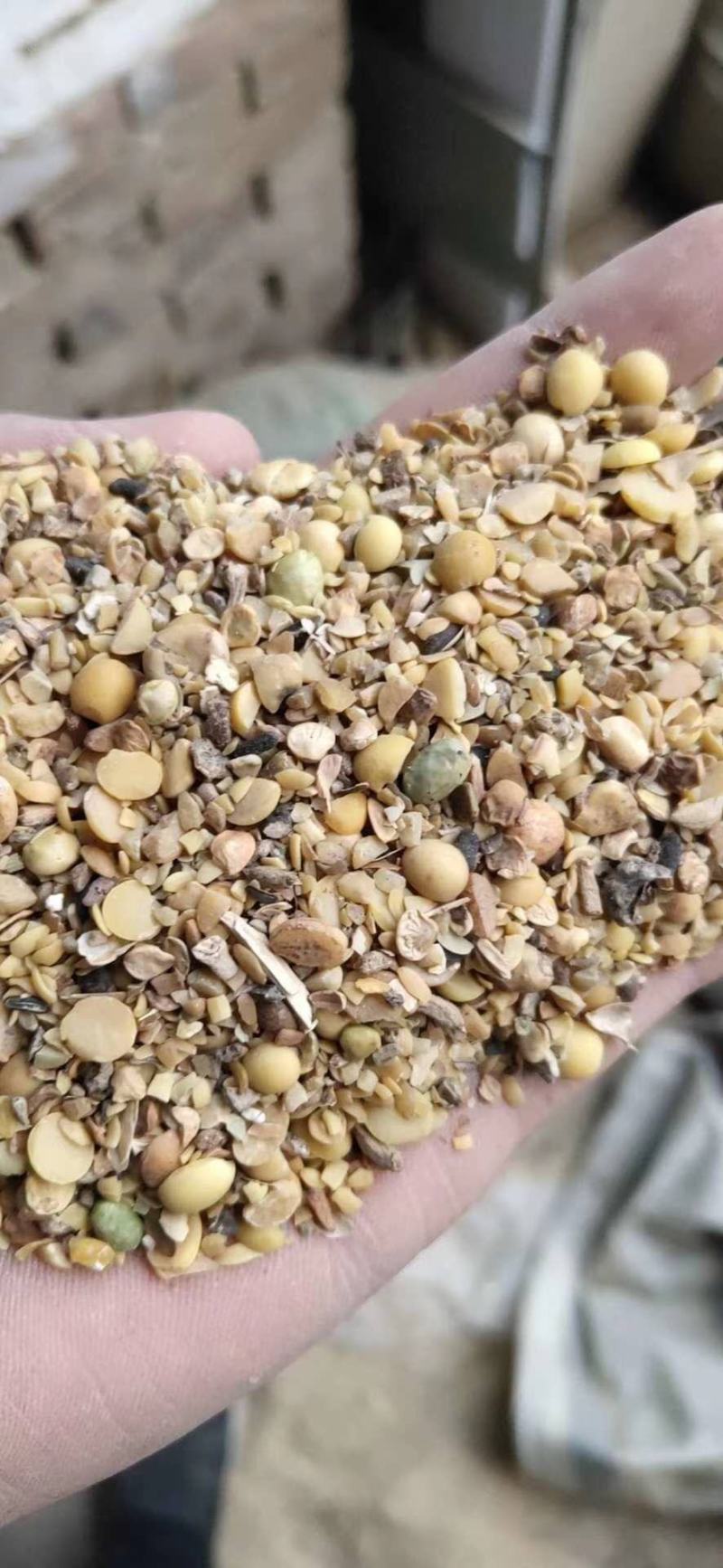 【优质好货】碎黄豆，猪牛羊蛋白补充，量大优惠，品质可靠！