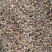 【优质好货】碎黄豆，猪牛羊蛋白补充，量大优惠，品质可靠！