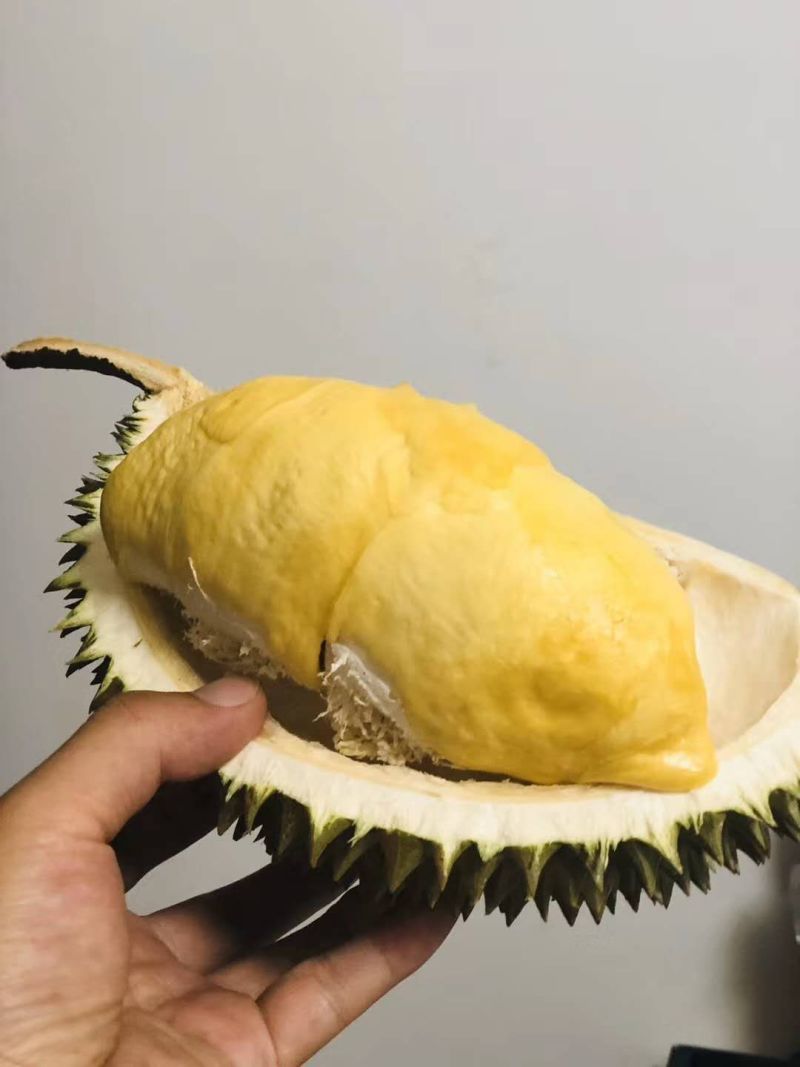 猫山王榴莲2-3斤1个装70块包邮！批发支持一件代发！