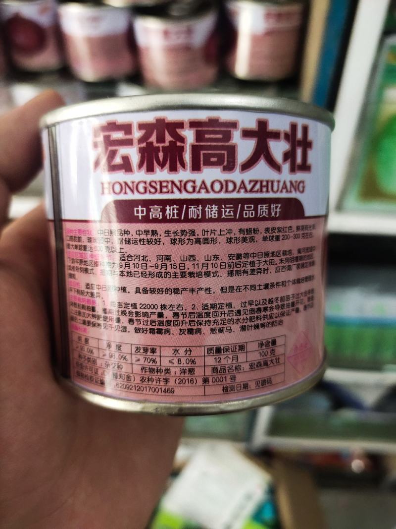 宏森高大壮洋葱种子种籽洋葱种籽半高状紫红皮洋葱种
