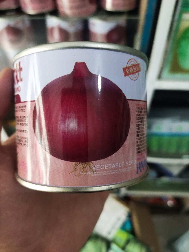 宏森高大壮洋葱种子种籽洋葱种籽半高状紫红皮洋葱种