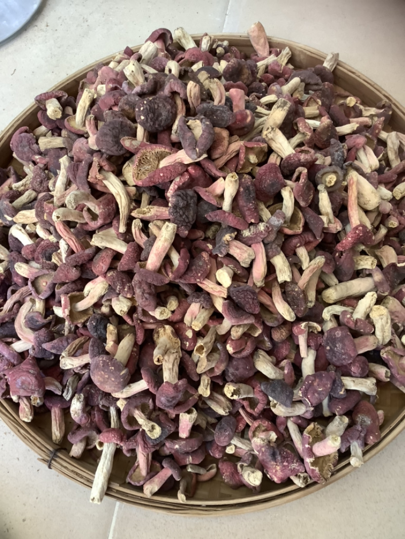 野生红菇食用菌价格实惠