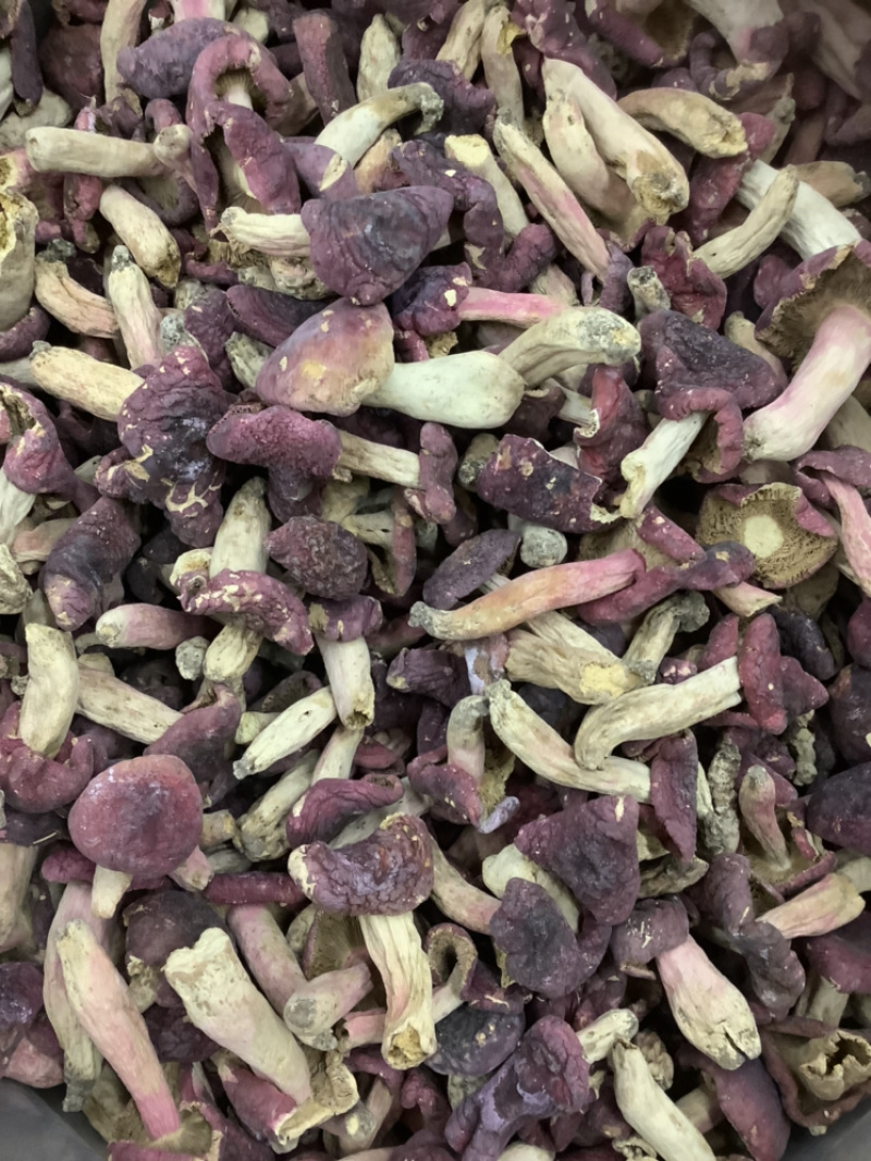 野生红菇食用菌价格实惠