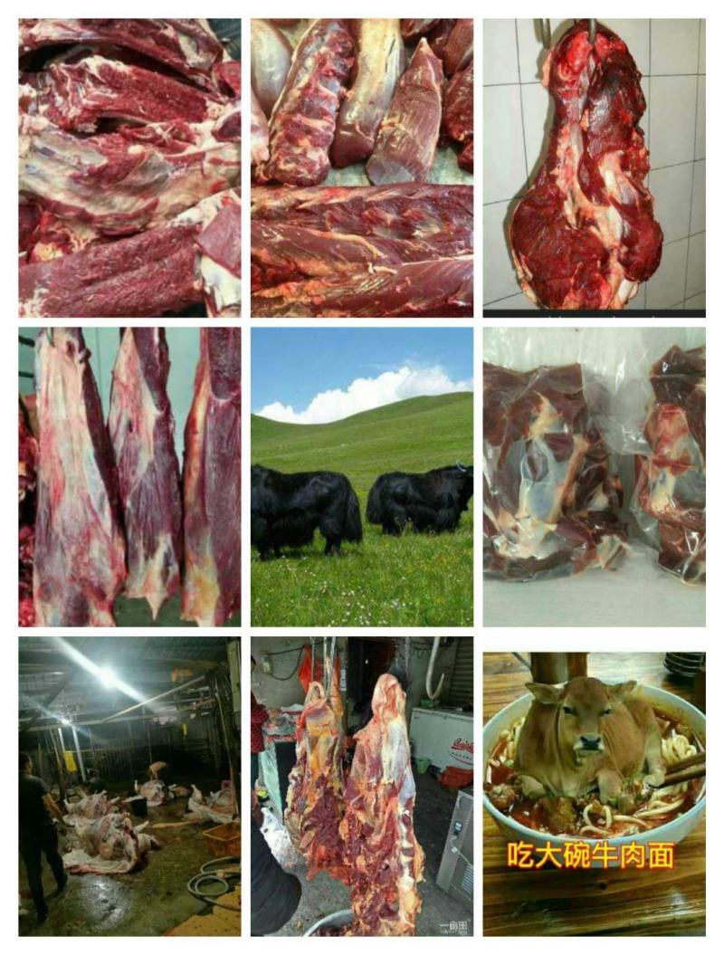 阿坝州正宗冻牦牛肉，假一赔十，有需要的老板欢迎咨询