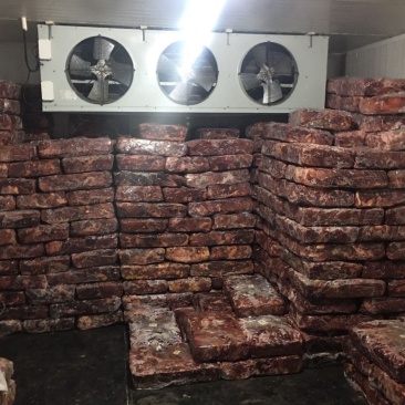 阿坝州正宗冻牦牛肉，假一赔十，有需要的老板欢迎咨询