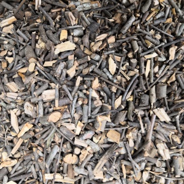 无硫槲寄生新货各种规格批发各种中药材