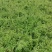 桶肥～施地美～20公斤～含矿源黄腐酸钾含矿源黄腐酸腐植酸