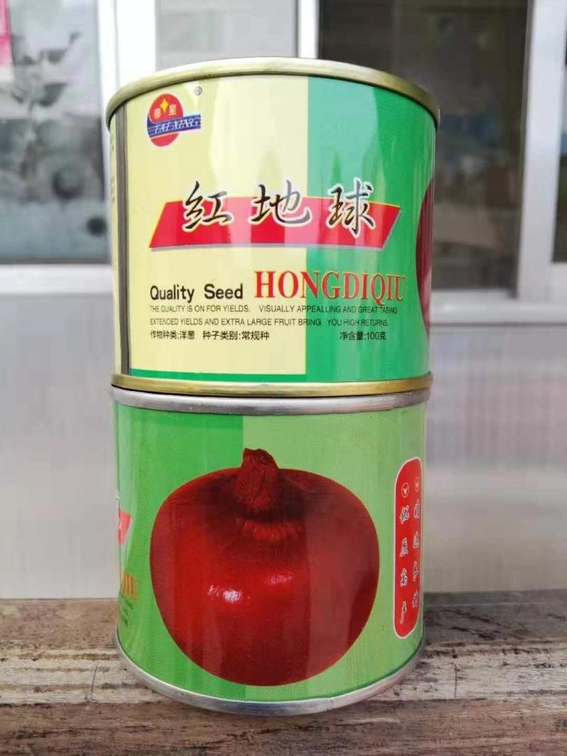 洋葱种子圆底平底红满地红皮洋葱种子都是当年新种子
