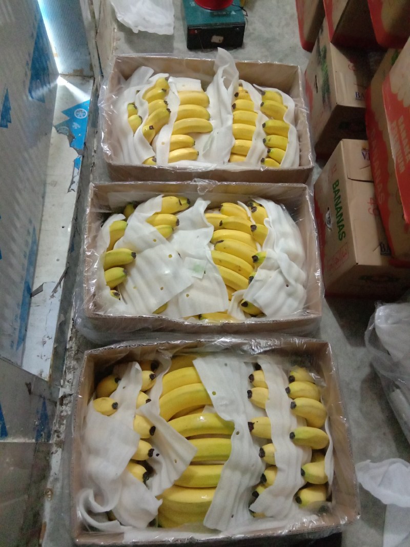好货，好货，好货精品香蕉48一件