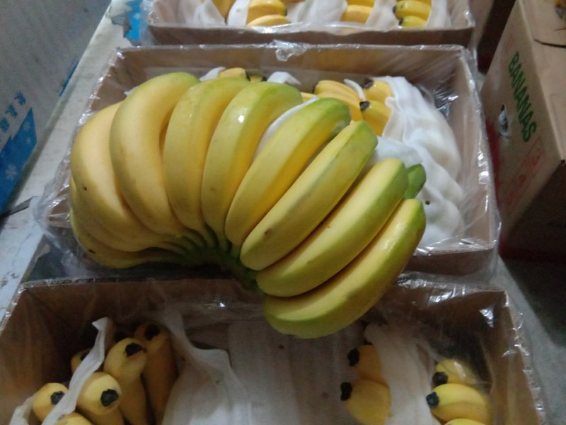 好货，好货，好货精品香蕉48一件
