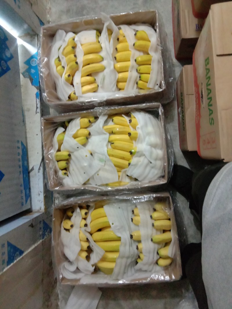 好货，好货，好货精品香蕉48一件