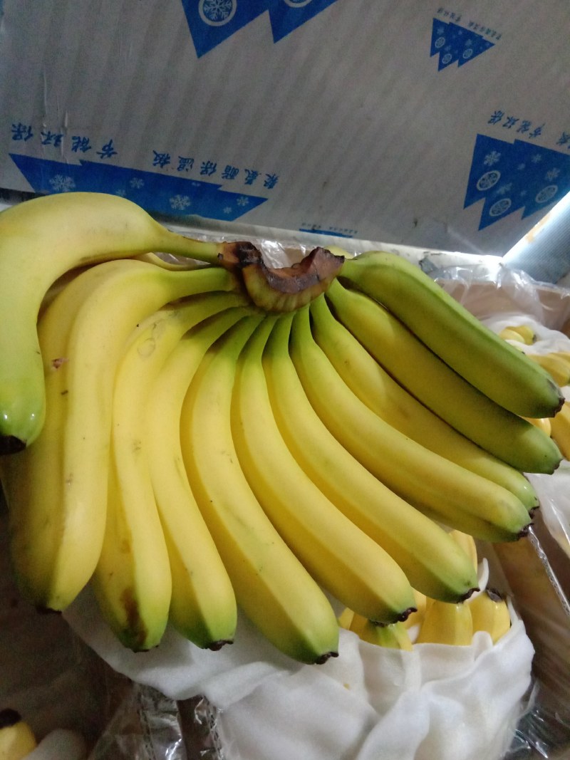好货，好货，好货精品香蕉48一件